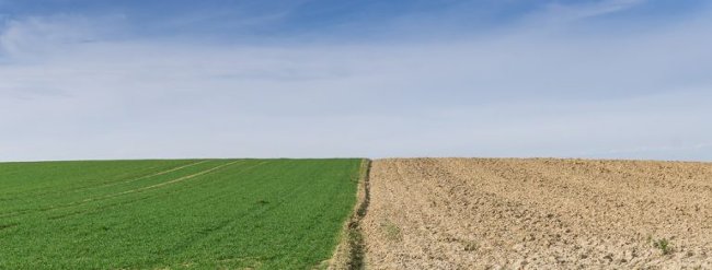 Sử dụng thời gian nghỉ ngơi ngắn để tập các bài thiền nhỏ