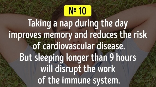 Một giấc ngủ ngắn vào ban ngày sẽ giúp cải thiện trí nhớ cũng như giảm nguy cơ mắc bệnh tim mạch