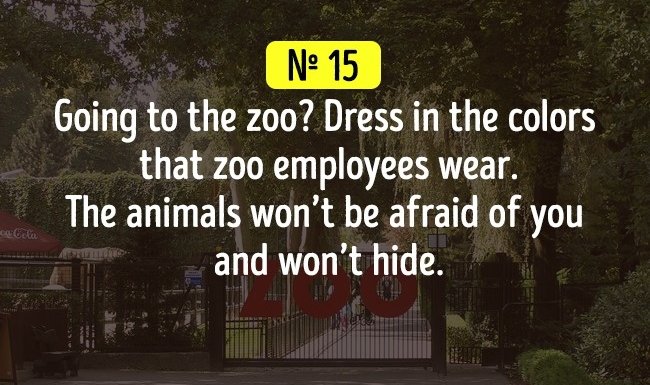 Đi đến sở thú 