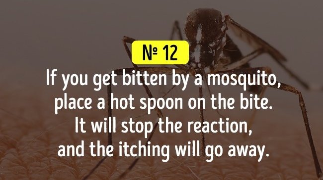 Nếu bạn bị muỗi đốt, hãy đặt một chiếc thìa nóng lên vết chích đó