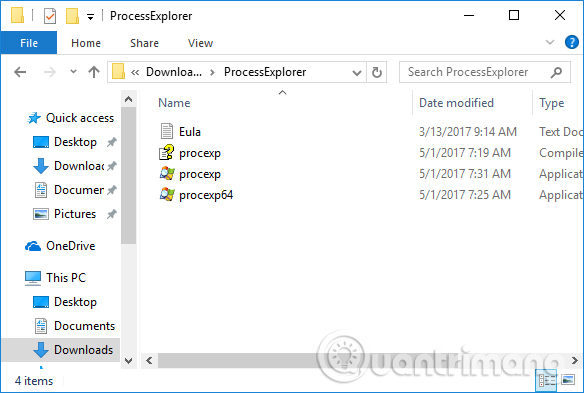 Chọn bản Process Explorer