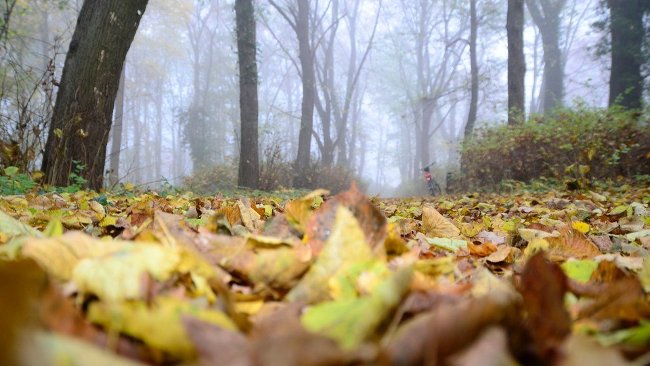 4 yếu tố quan trọng cần chú ý để phát hiện ra lời nói dối