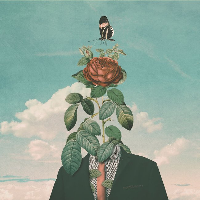 Bộ não của kẻ mọt sách