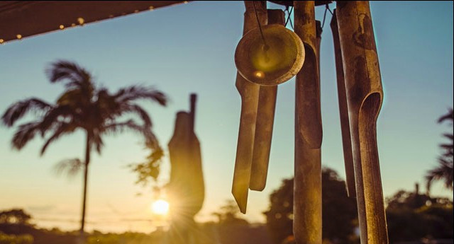 Chuông gió có thể khuyến khích trẻ ăn nhiều rau xanh hơn