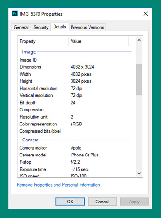 Thông tin về bức ảnh