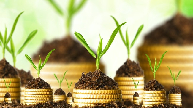 Đầu tư để kiếm lợi nhuận