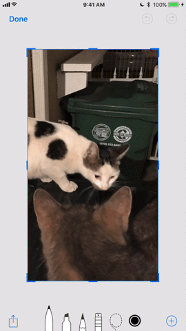 Thêm hình dạng cho ảnh chụp màn hình