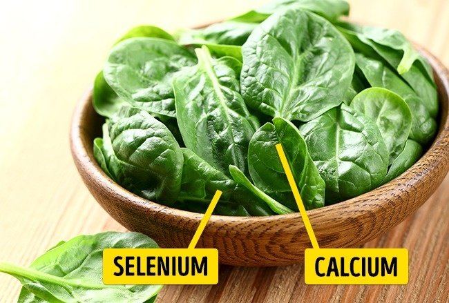 Thảo mộc và rau xanh