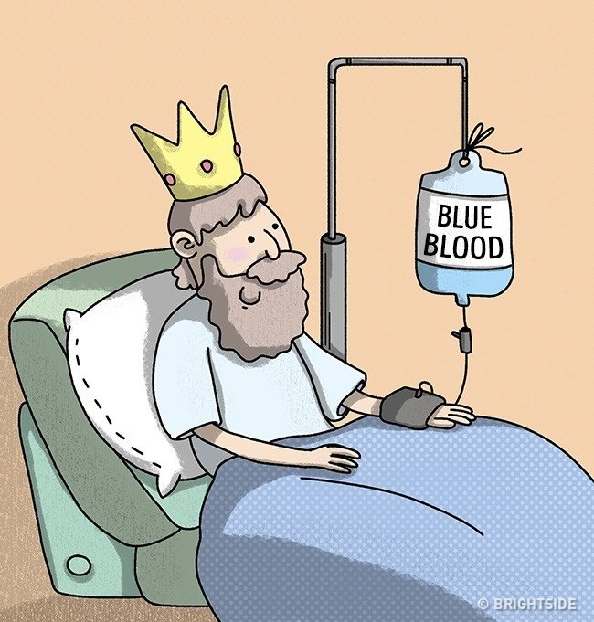  Máu đã khử oxy có màu xanh