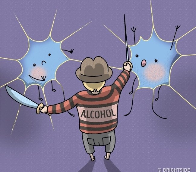 Rượu giết chết các tế bào não