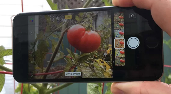 Live Photos thêm nhiều hiệu ứng 