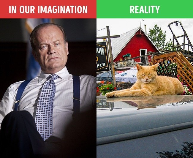 Ngài thị trưởng