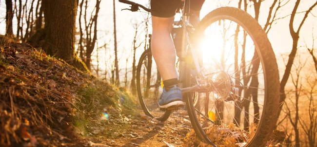 Việc nghiện smartphone là có thật