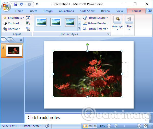 Tùy chỉnh hình ảnh trong PowerPoint