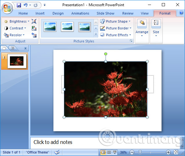 Chèn ảnh trong PowerPoint - Hỗ trợ của Microsoft