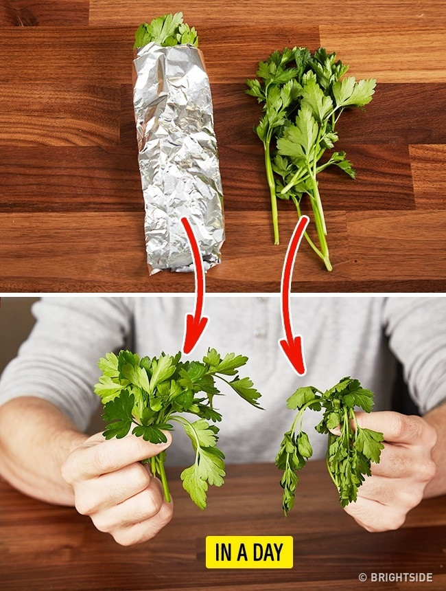 Cách giữ rau tươi lâu