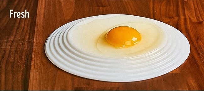 Trứng gà mới đẻ 