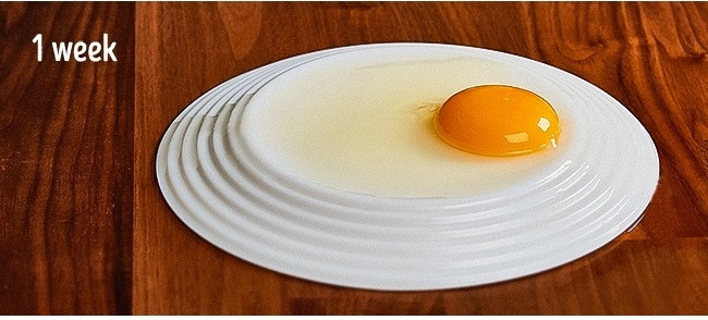 Trứng sau khi đẻ được một ngày 