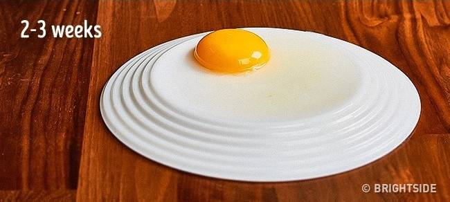 Trứng để 2-3 ngày 