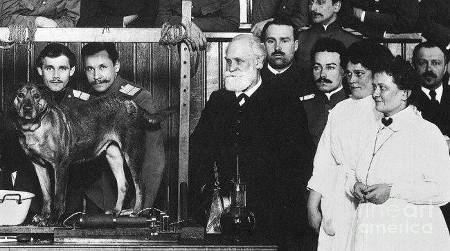 Ivan Petrovich Pavlov được trao giải Nobel sinh lý và y khoa năm 1904