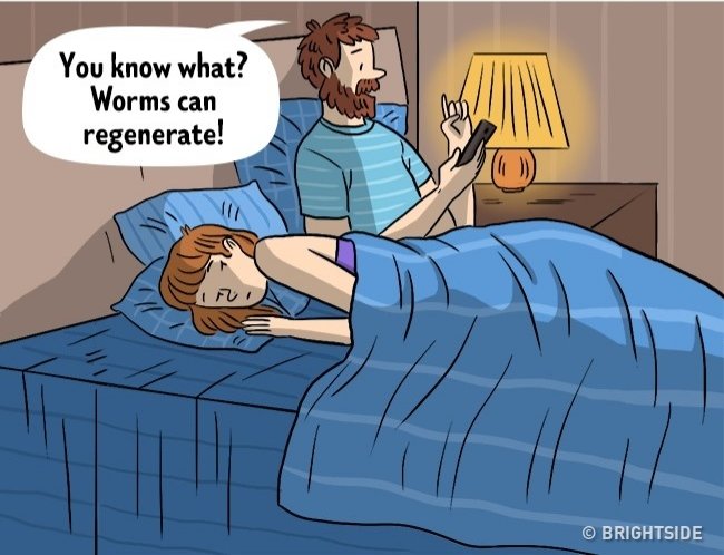 Tìm những thông tin chính xác để giảng giải tường tận cho con.