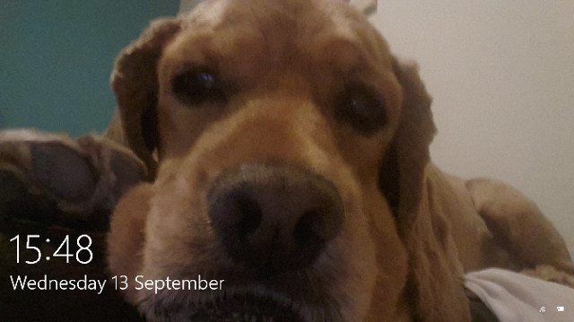 Màn hình khóa Windows