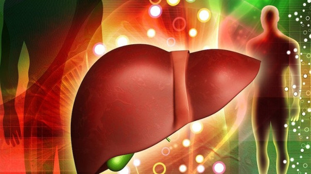 Gan có khả năng tái sinh 