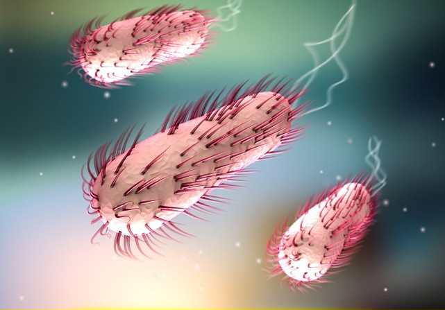 Các enzyme trong cơ thể con người sau khi chết 