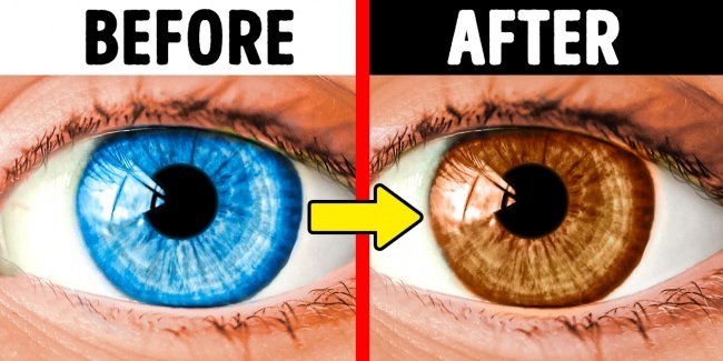 Mắt người có khả năng tự thay đổi màu sắc từ xanh sang nâu.