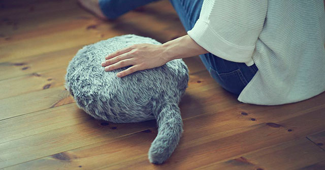 Thử xem chú mèo trị liệu này có giúp bạn cảm thấy tốt hơn mèo thật không