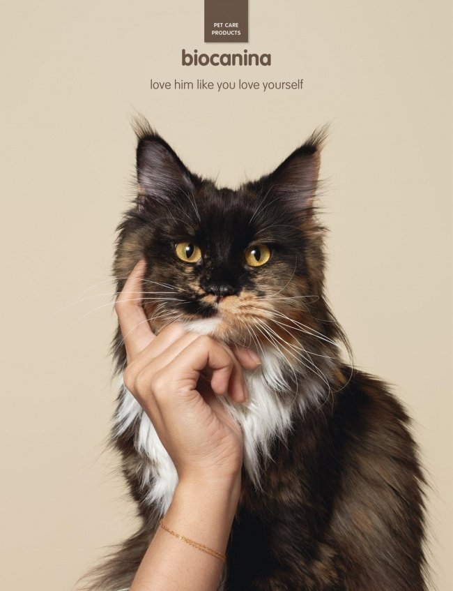 Love your pet as you love yourself!