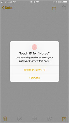 Nhấp chọn Enter Password để nhập mật khẩu hoặc sử dụng Touch ID