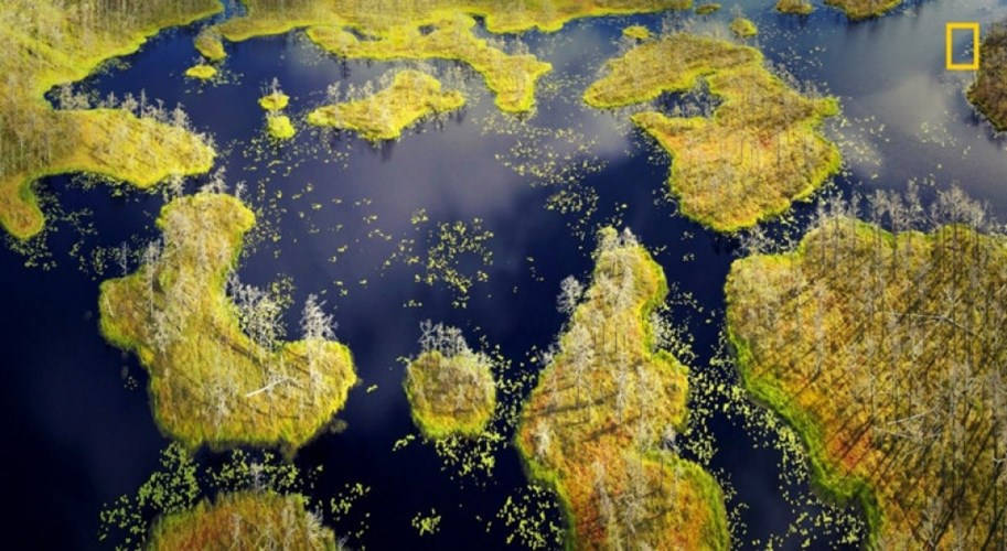 Đầm lầy tại Riga, Latvia mang một vẻ đẹp đầy bí ẩn dưới ống kính của nhiếp ảnh gia 