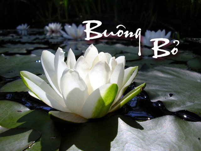  Buông bỏ quá khứ