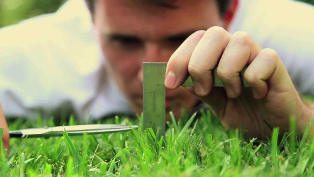 Là một con người quá cầu toàn