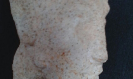 Đầu tượng thạch cao của vua Akhenaten được khai quật tại Ai Cập