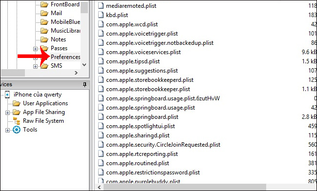 Truy cập theo đường dẫn trên iBackupBot