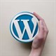 Hướng dẫn tạo trang web bằng Wordpress từ A đến Z (Phần 2)