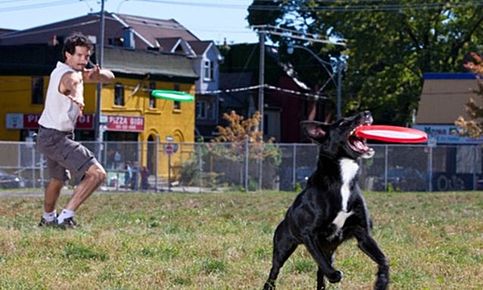 Rose có thể bắt và giữ tới 7 chiếc đĩa bay được ném riêng biệt mà không hụt một cái nào