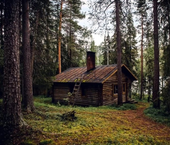 Đố bạn biết chú gấu in chìm nằm đâu trong hình?