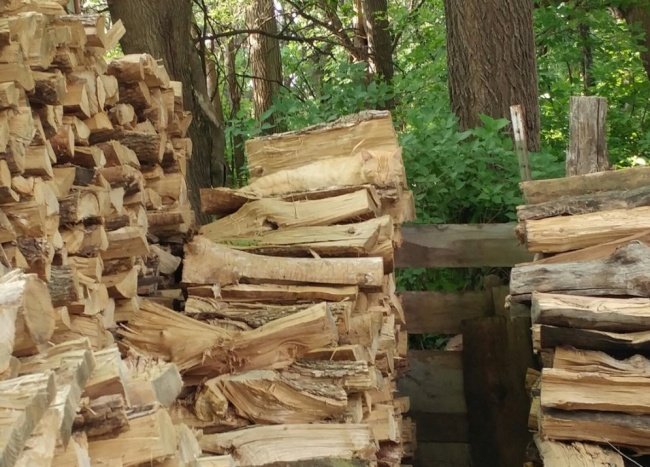 Hãy tìm chú mèo con nào!