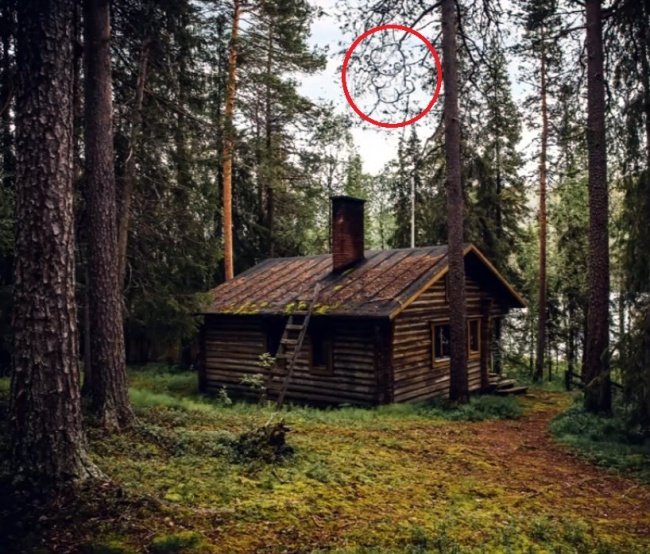 Hình ảnh bonus thêm