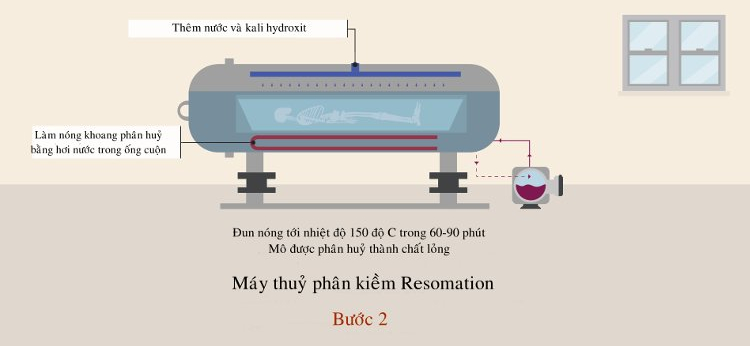 Đun nóng dung dịch kiềm để phân hủy mô thành chất lỏng