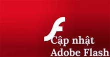 Hướng dẫn cập nhật Adobe Flash Player phiên bản mới nhất