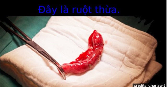 Những điều thú vị trong cuộc sống có thể bạn chưa biết