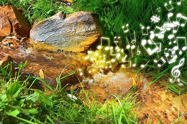 Tại sao tiếng suối lại nghe róc rách?