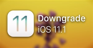 Cách hạ cấp iOS 11.1 xuống iOS 11.0.3