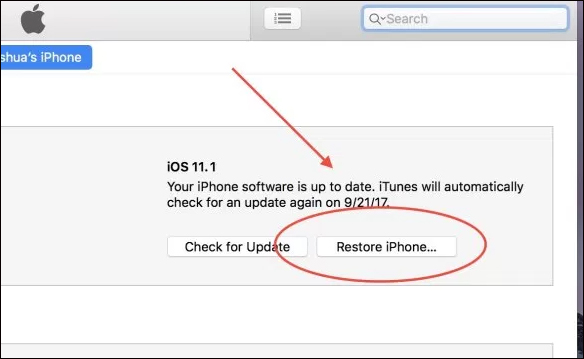 Nhấn Restore iPhone