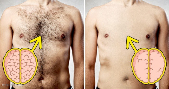 Mối quan hệ giữa lượng lông trên người với chỉ số IQ