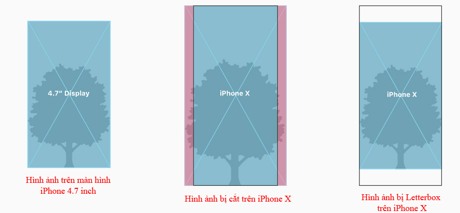 Hình ảnh trên màn hình iPhone X và 4.7 inch